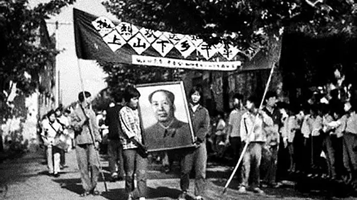  Cultural Revolution political absurdity in human history